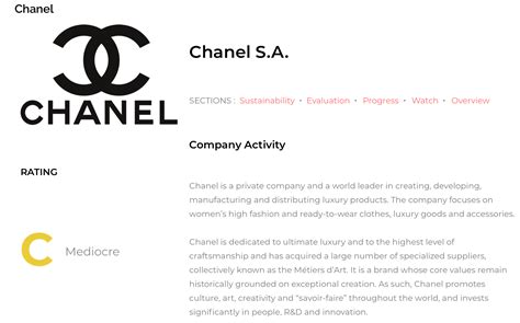 chanel sustainable advantage|Chanel green wash statement.